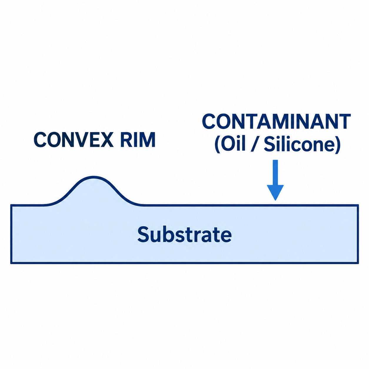 Contamination and Crater Morphology